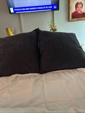 Set of 2 navy blue throw pillows